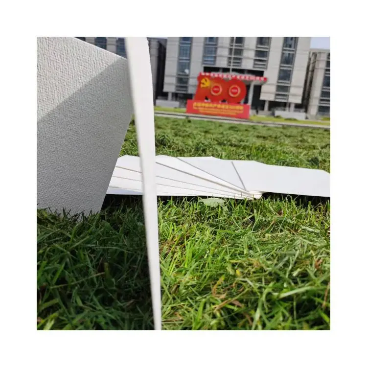 Cheap Price Sugarcane Paper Molded Pulp For Paper Industry