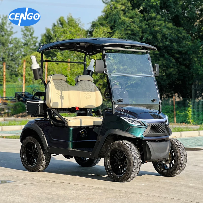 Luxury Off-road 2 passager Jeep electric golf kart with 48v 5kw lithium battery powered ambient light golf carts