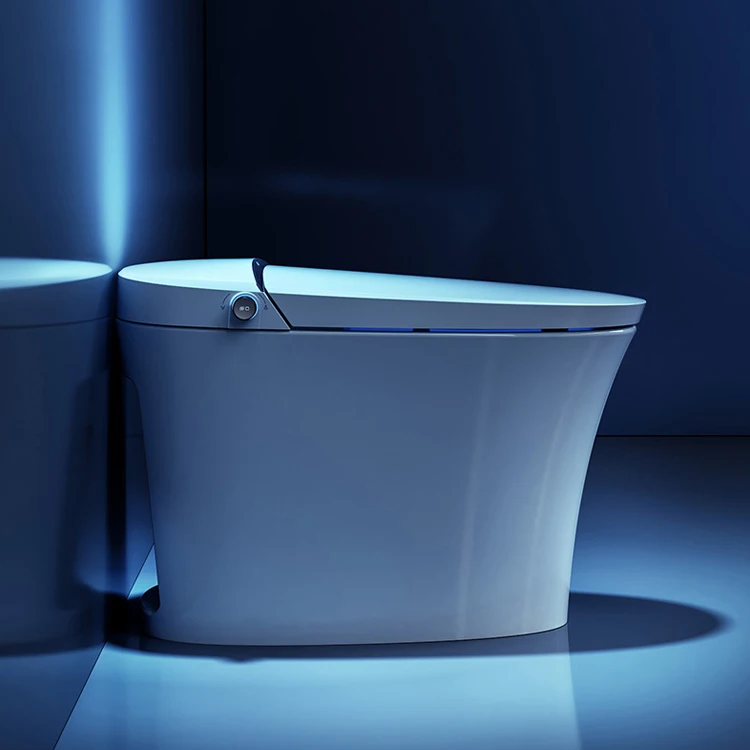 HEGII America standard 110V s-trap sanitary ware floor mounted modern bathroom automatic toilet bowl intelligent wc smart toilet