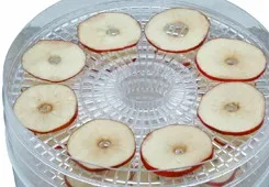 5 trays food and fruit dehydrator machine for sale