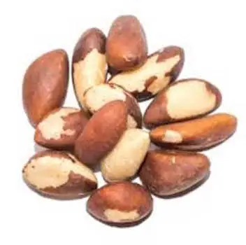 Fresh Brazil Nuts Bulk /Raw Brazilian Nuts Wholesale