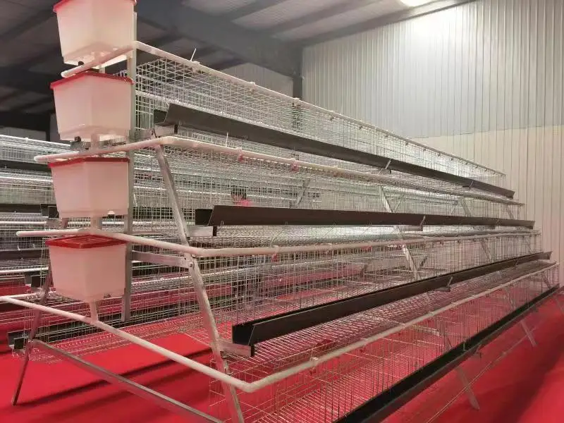 factory sale layer egg chicken automatic chicken cage with CE