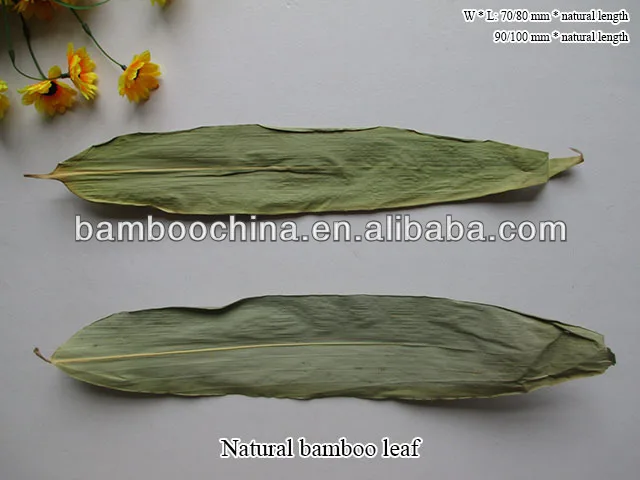 Premium Quality Raw Dried Green Natural Whole Bamboo Indocalamus Leaf
