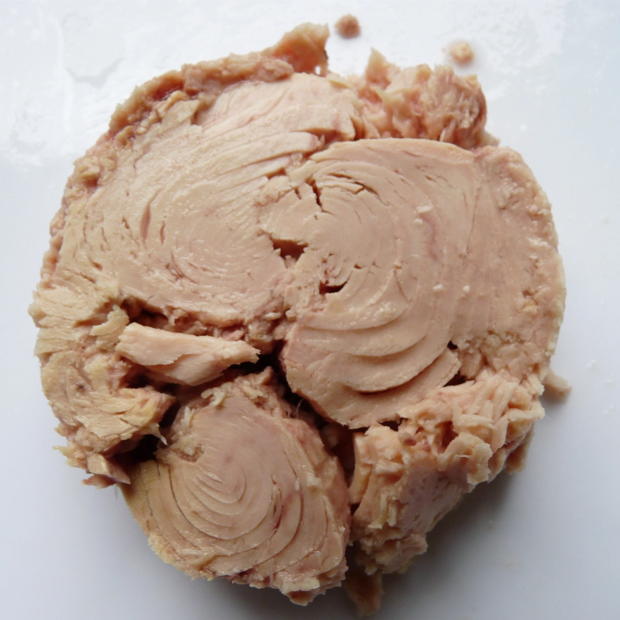 Albacore Solid White Tuna In Spring Water American Quality