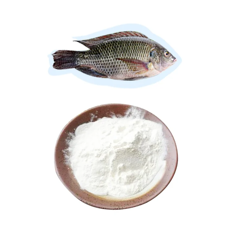 100% water soluble hot-sales hydrolyzed fish collagen powder/animal extract collagen type I&III for anti-aging