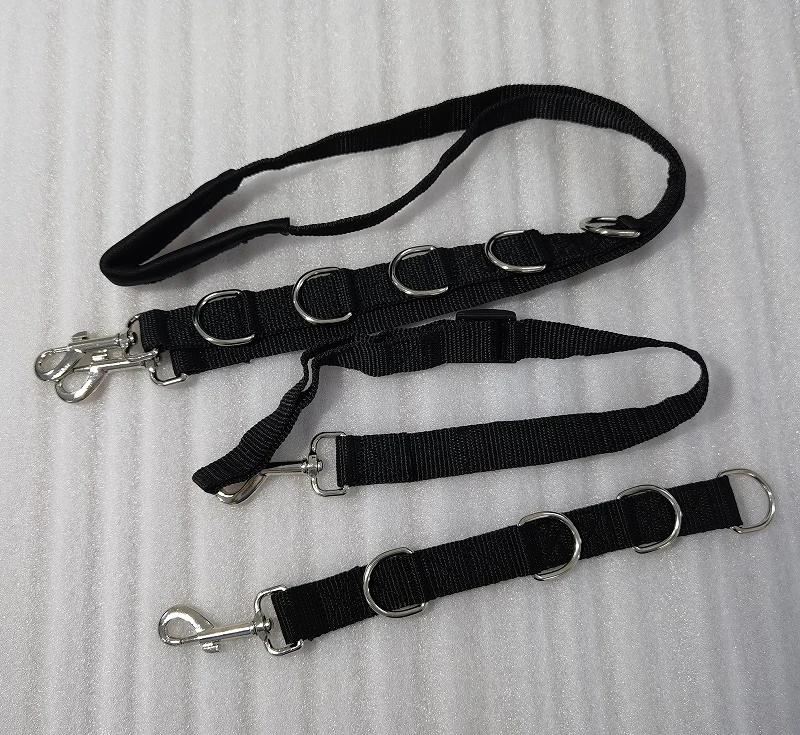 pet grooming leash 3.png