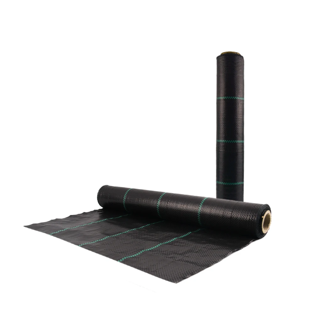 Good quality factory directly100g/m2 ground cover fabric in Vegetable garden