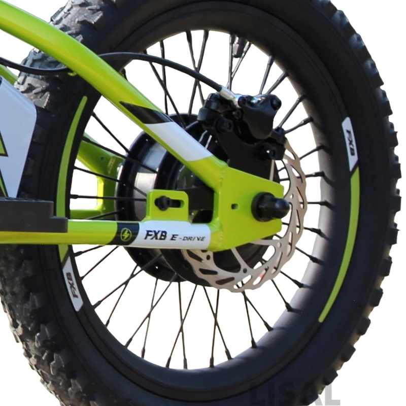 2024 New LED Children Electric Bicycle With Aluminum Alloy Rim 36V 350W Balance Bike Electr For Kids Wholesale