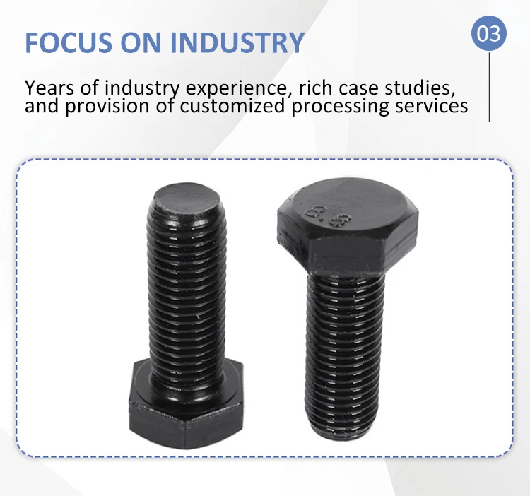 Grade 12.9 High Tension Hex Bolt 5/16 M2 Ringschraube Anchor Bolt Hardware Fasteners Ss316 Nuts and Bolts