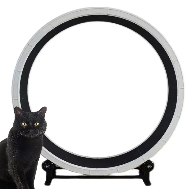USMILE Innovation Design New ABS Resistant to Corrosion Material Sustainable Stable Indoor Cat Exercise Wheel with Easy Assemble