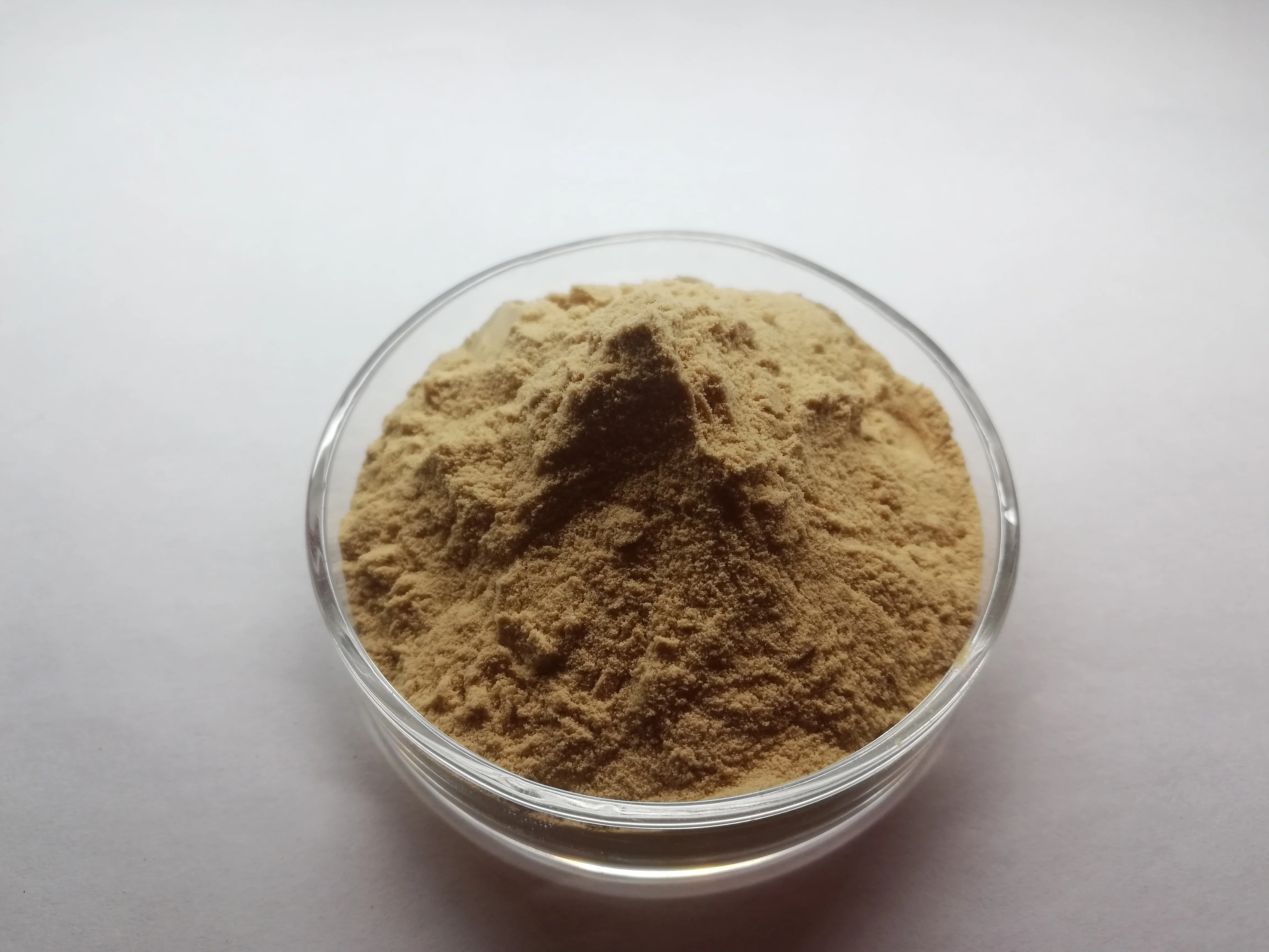 
Supply pure organic isabgol psyllium husk powder in bulk with best price 