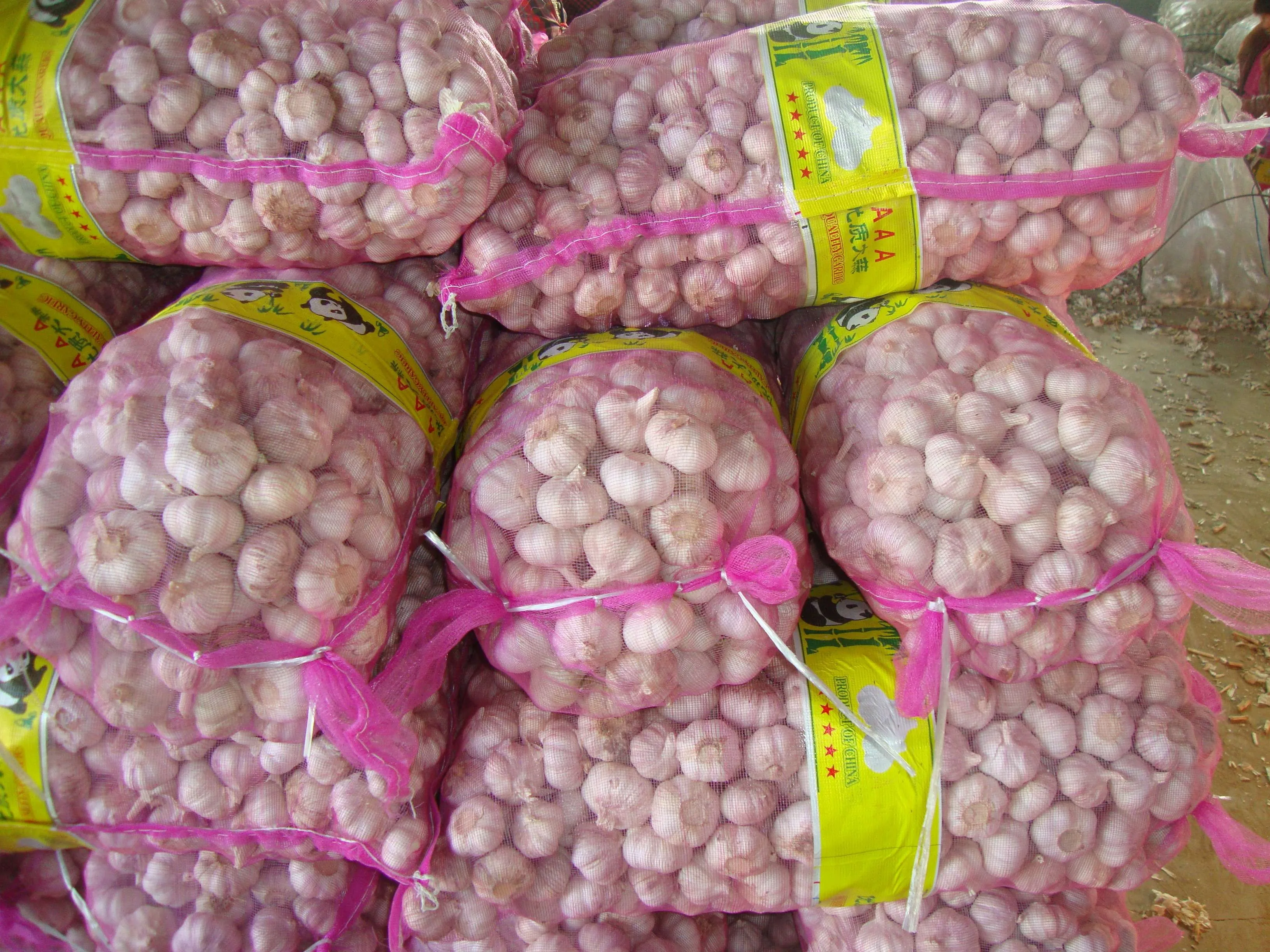 Wholesale Premium Quality New Fresh Vegetables Garlic With Cheap Price