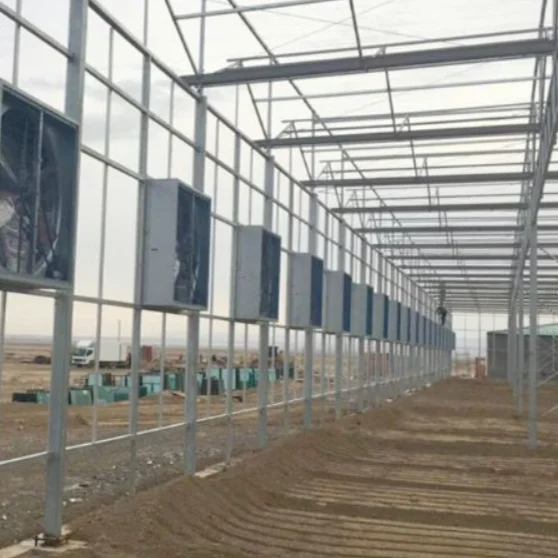 PC Polycarbonate Sheet Outdoor Green Houses Aluminum Frame Garden Greenhouse