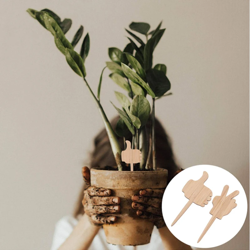 Eco Friendly Widely Used In Garden Waterproof Nursery Markers Flower Pots Seedling Mix Colors Plant Tags Garden Plant labels