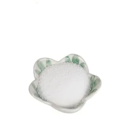 Export high-quality citric acid monohydrate