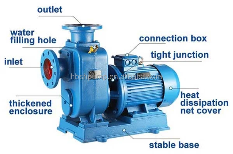 Zw Series Self Priming Pump Domestic Self Priming Non Clogging Sewage Centrifugal Pump