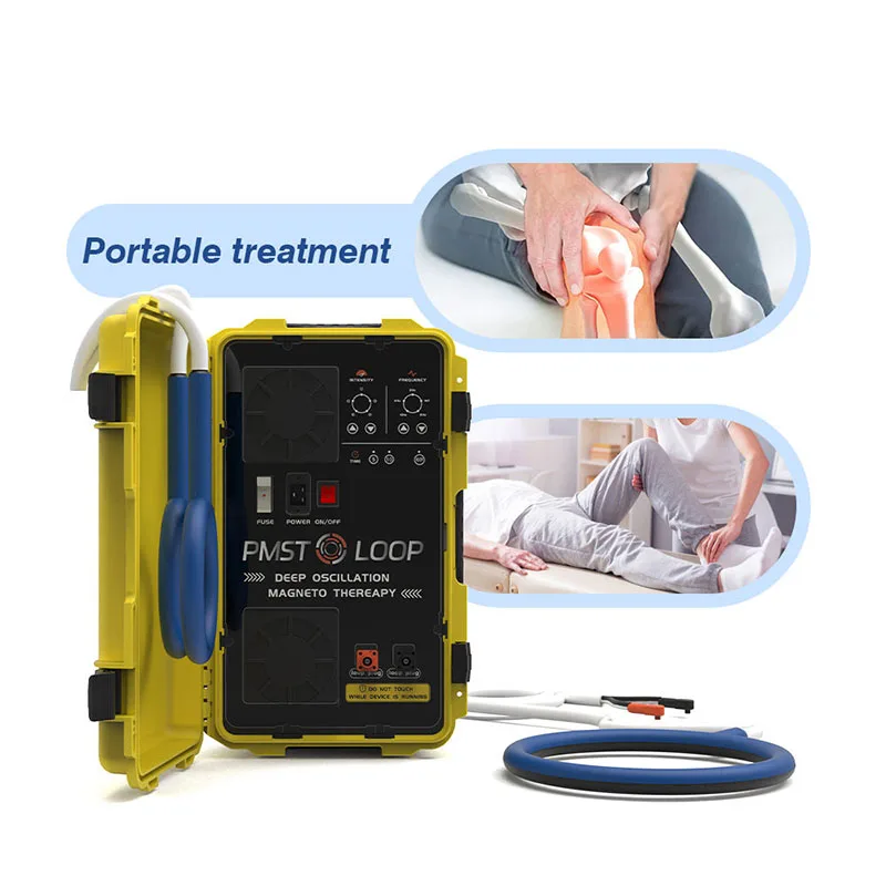 Cenmade New Technology Home Users Products PMST LOOP Physical Therapy Equipment For Body Pain Relief