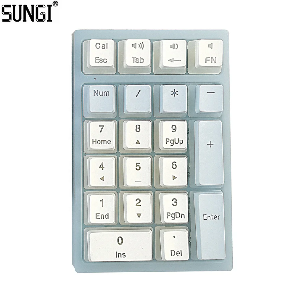 Hot Swappable Mechanical Numeric Keypad USB Wired 21 Keys Mini Numpad Portable Keypad RGB Backlight Gaming Keypad