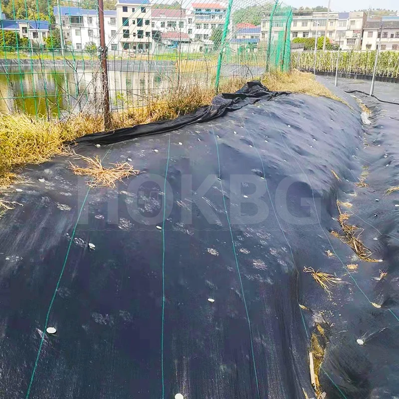 HOKBG Factory Geo Greenwall Geotextile Silt Curtain Geotechnical Fabric for pond