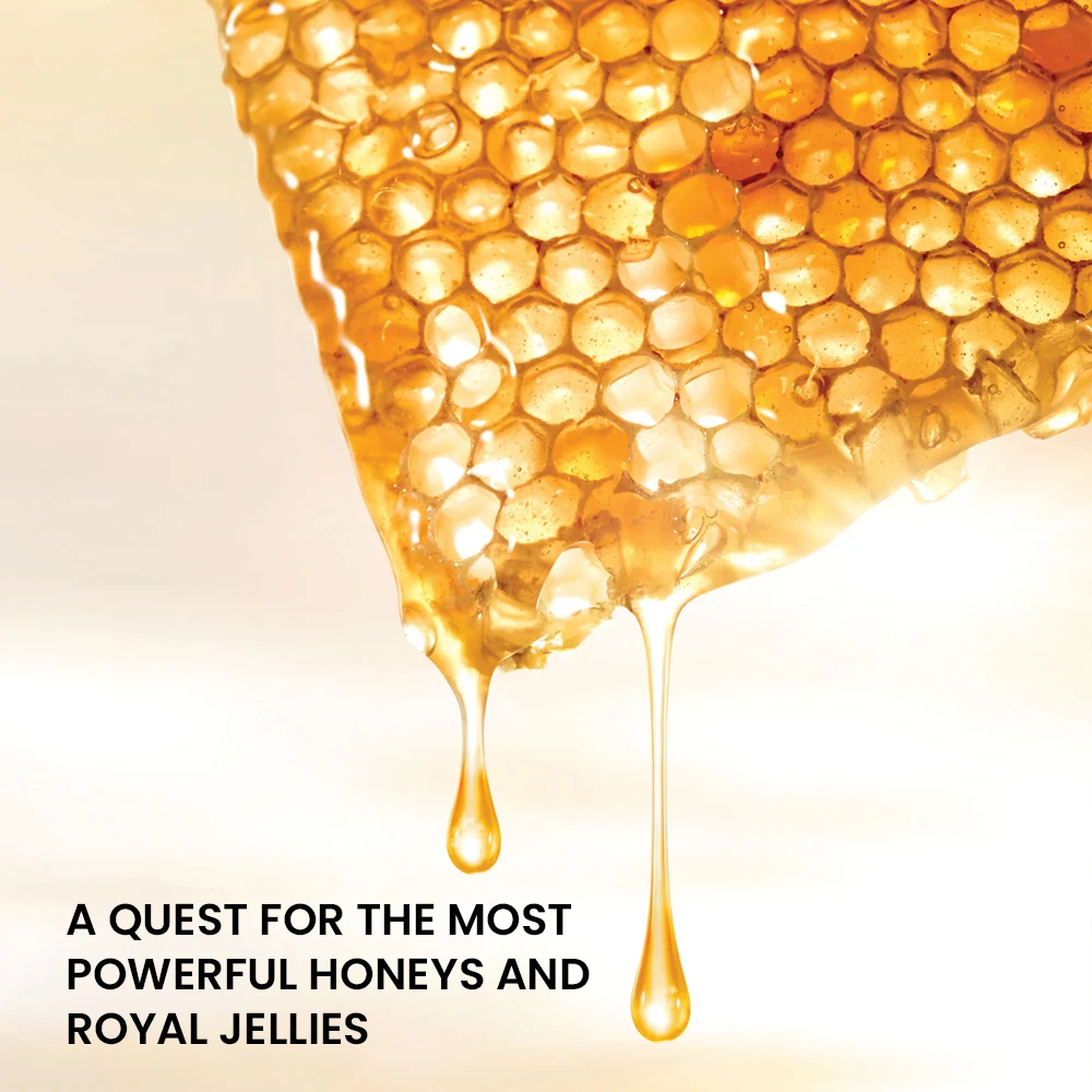 Vegan 2 In 1 Double Serum Private Label Day And Night Brightening Skin Care Serum Face Anti Aging Repair Wrinkle Serum Wholesale