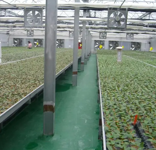 Hydroponic System Ebb And Flow Trays Seedbed Grow Rack Rolling Benches Grow Table Greenhouse For Sale