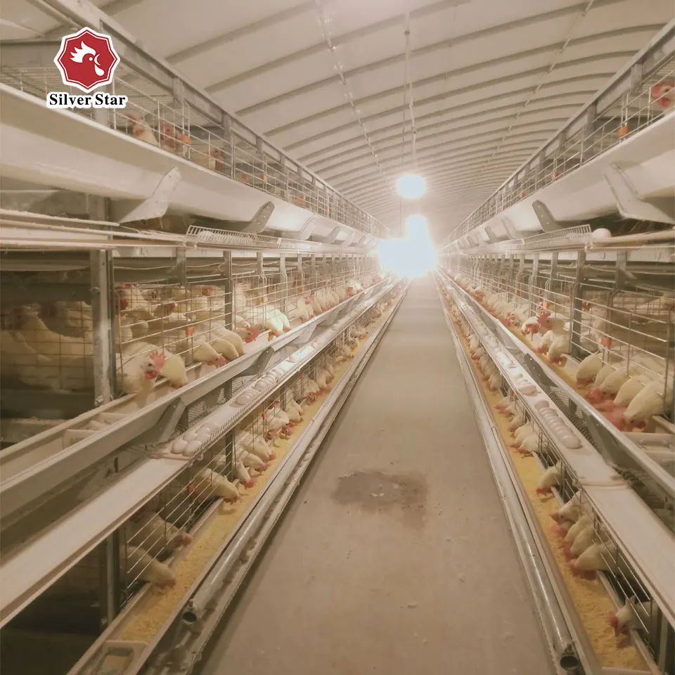 High quality hot sale economic H type chicken cage for layers