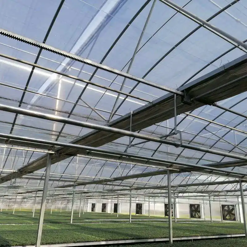 wholesale factory price green house plastic film  metal frame structure made in China