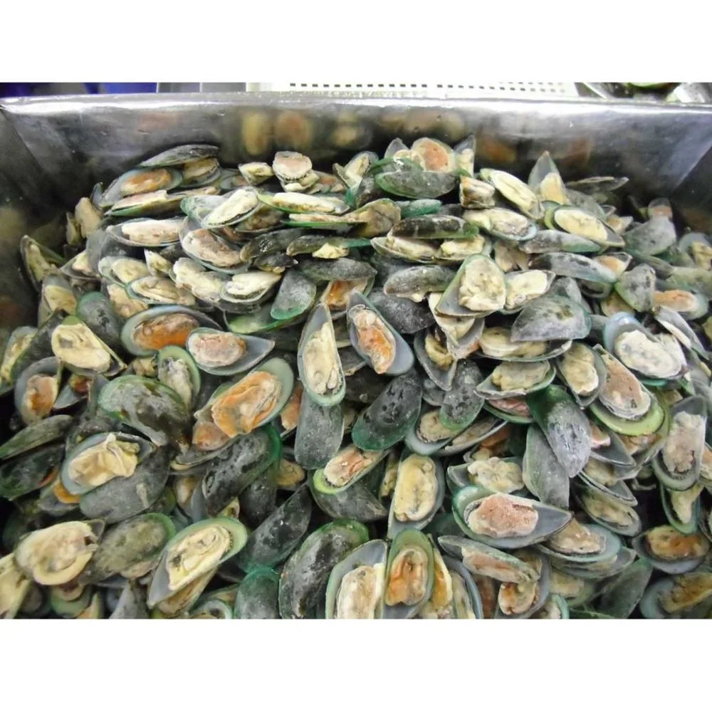 Good Quality Hot Sale Frozen Half Shell Green Mussel