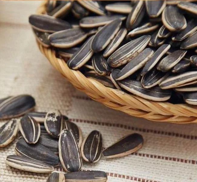 Go Raw Sunflower Seeds with Salt SEEDS Roasted and Salted