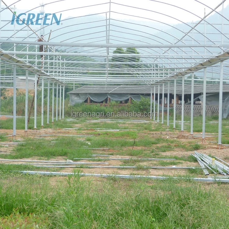 30 X 100 Greenhouse Greenhouses for Vegetable Garden Chinese Greenhouse Kit Customized Film Large Green House Metal Frame 4m--7m