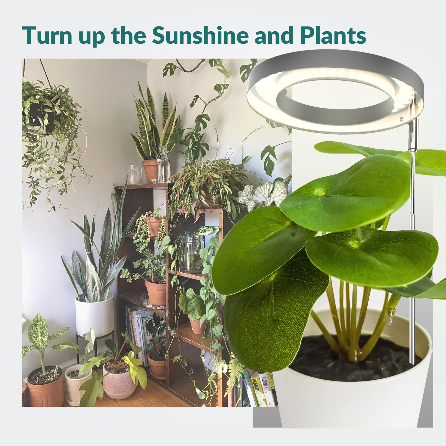 LED grow light 12W for small plant table light dimmable with timer Grow Lights for Indoor Plants,  with USB