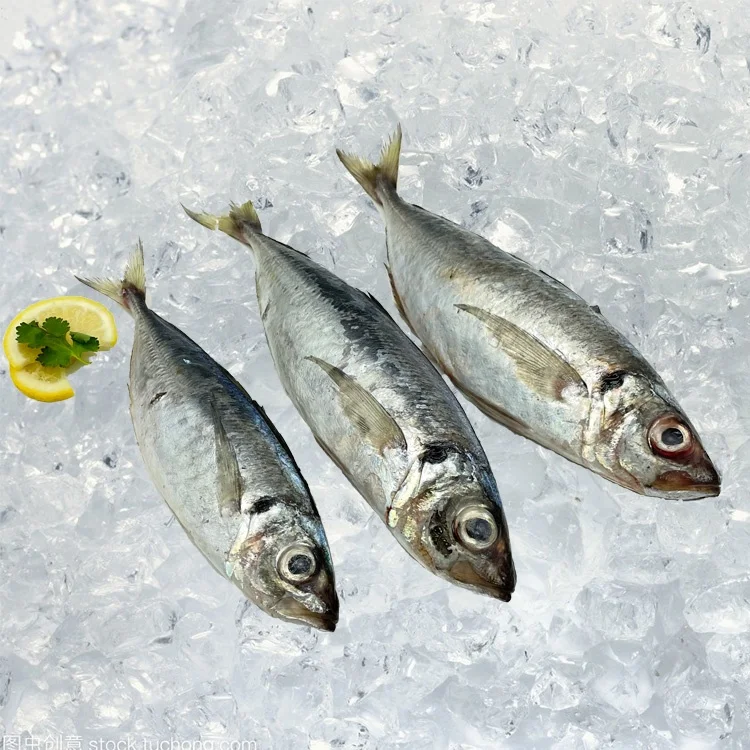 Замороженная круглая лошадиная скумбрия рыба