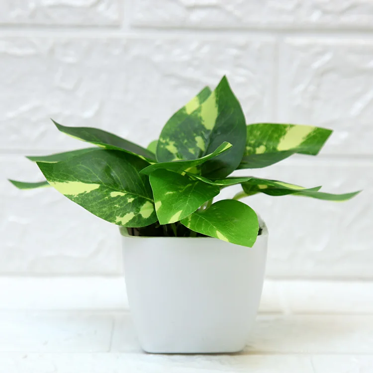 Living room indoor plant decoration mini simulated artificial plant bonsai