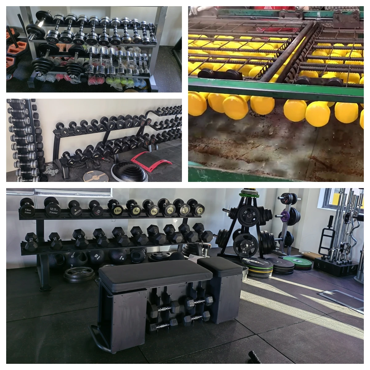 Wholesale Colorful Home Fitness  Basics Easy Grip Hex  Neoprene Coated Workout Dumbbells