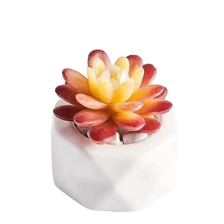 
Wholesale artificial succulents with ceramic pot home decor succulent plant 
