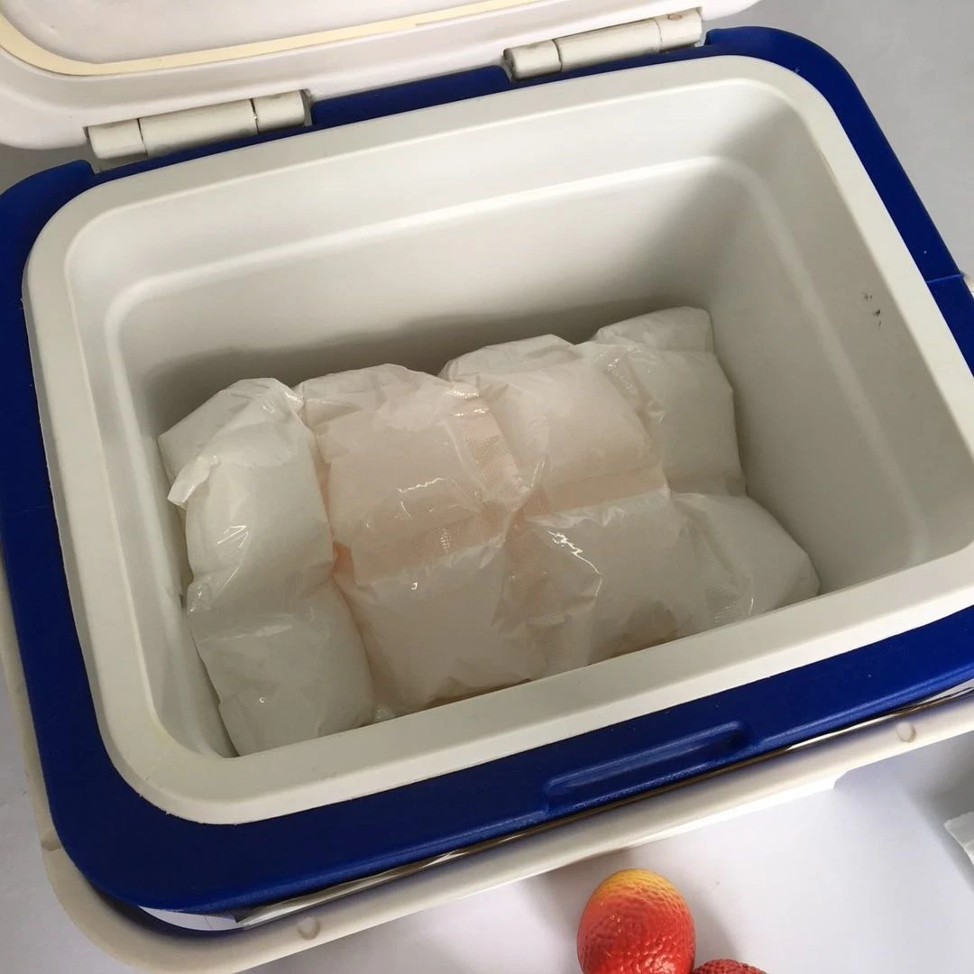 Cold Chain Insulation Transport Ice Pack For Food Seafood Fishing Dry Ice Sheet Bio Pharmacy Hydrated Ice Pack