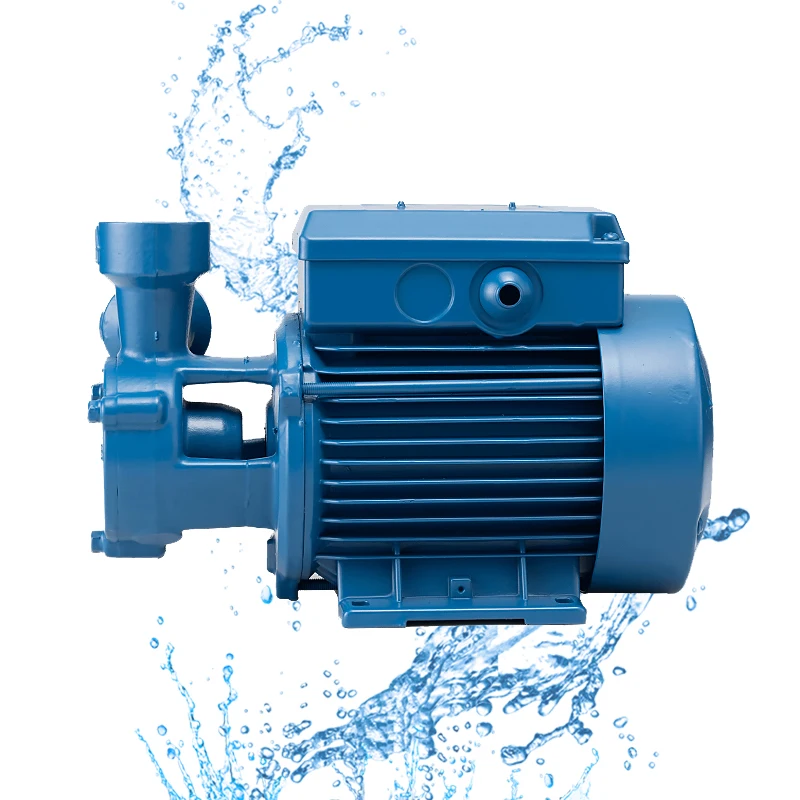 Китайский лучший бренд Mini 1 дюймов 1/2 л.с. 1Hp парниковый электродвигатель водяные насосы для дома