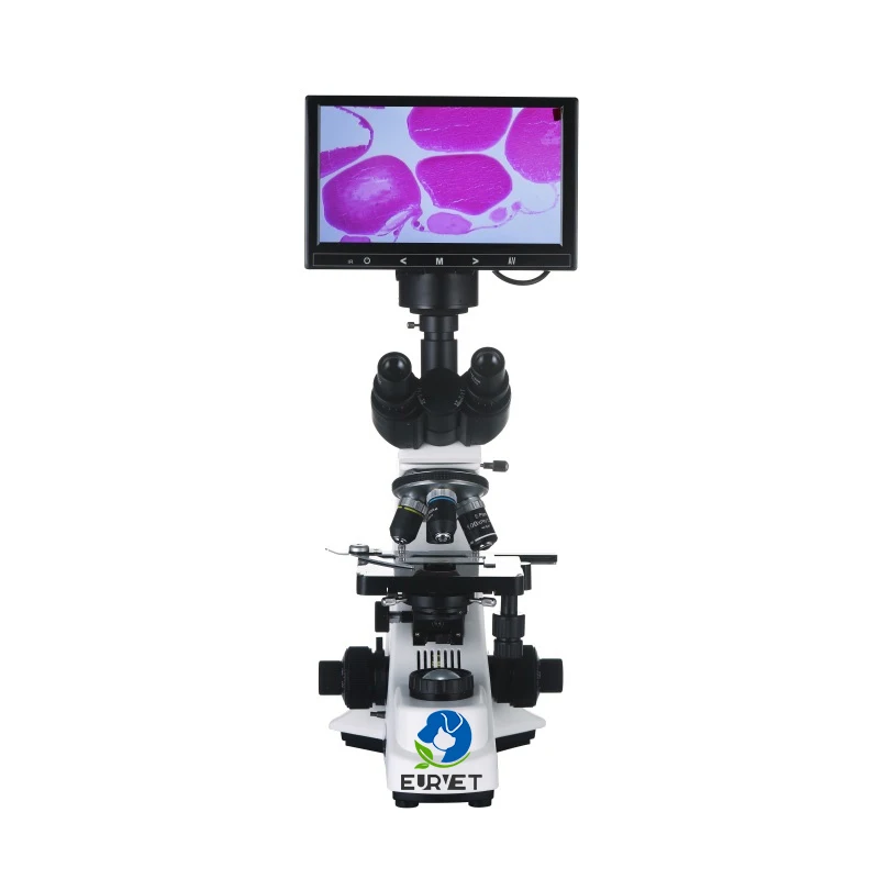 EUR PET  Factory Price Industrial Digital Scanning Electron Binocular Microscope With Lcd Screen Veterinary Equipment