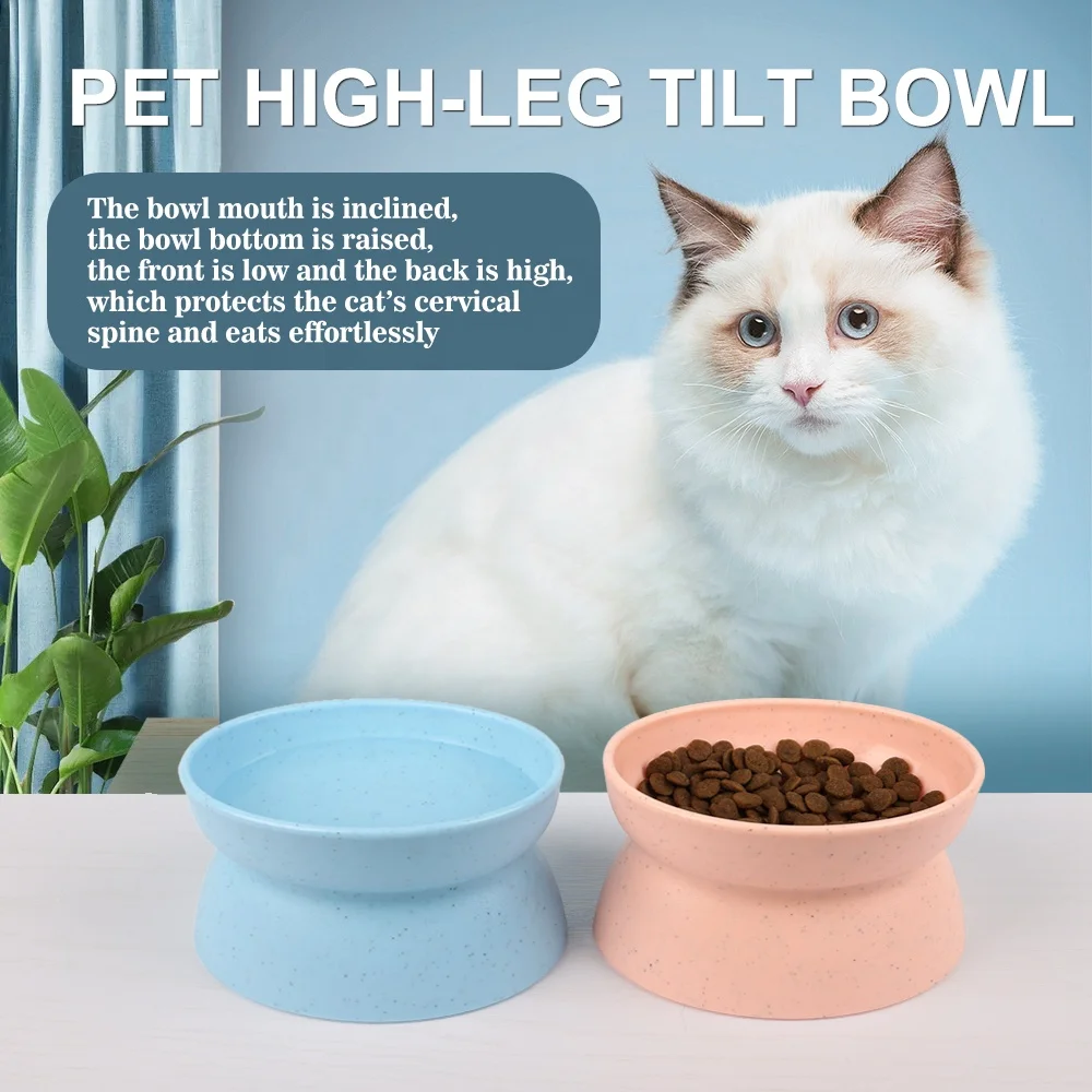 Factory Wholesale Color Box Packaging 15 Degree Tilted Pet Drinking Bowl Raised Cat Food Bowl