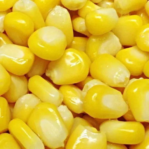 Vietnam Supplier  Freezing Sweet corn kernels