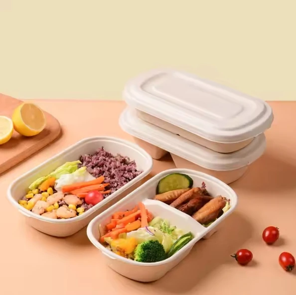 850ml 2-Comp Rectangle Container Sugarcane Disposable Degradable Bagasse Takeaway Fast food packaging lunch salad box with lids