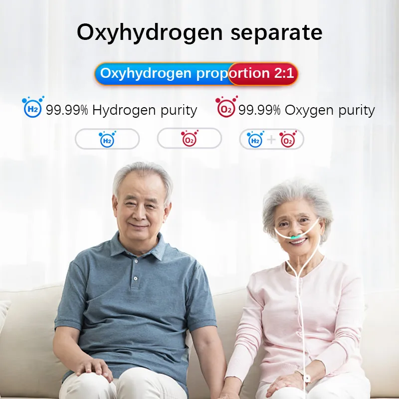 600ml/min hydrogen generator hydrogen machine High purity household gas separation Equipment hydrogen generator price