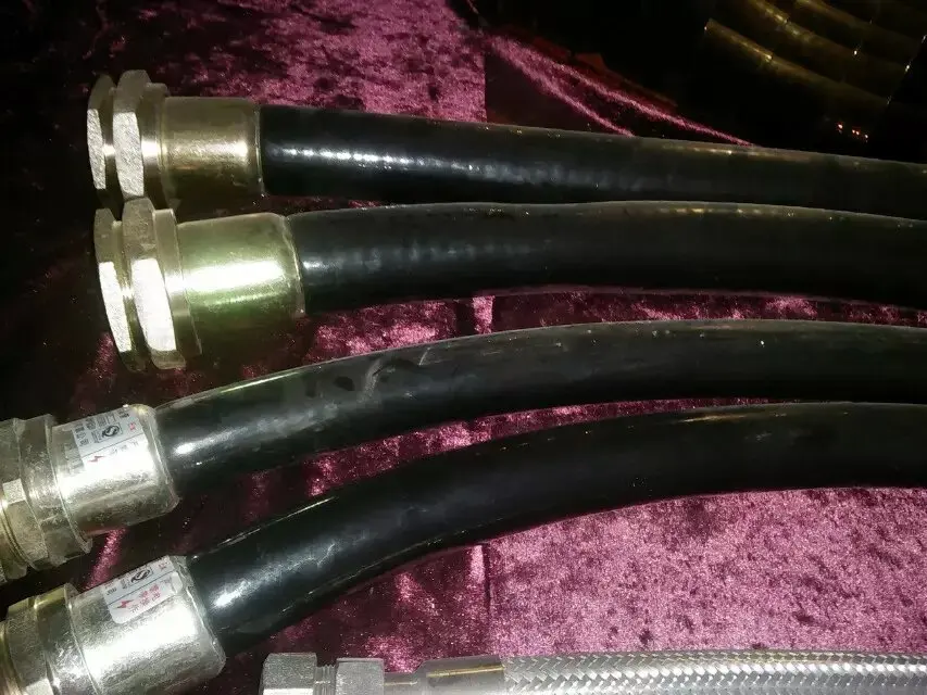 BNG atex approval explosion proof flexible pipe for electric equipments ExdIIB