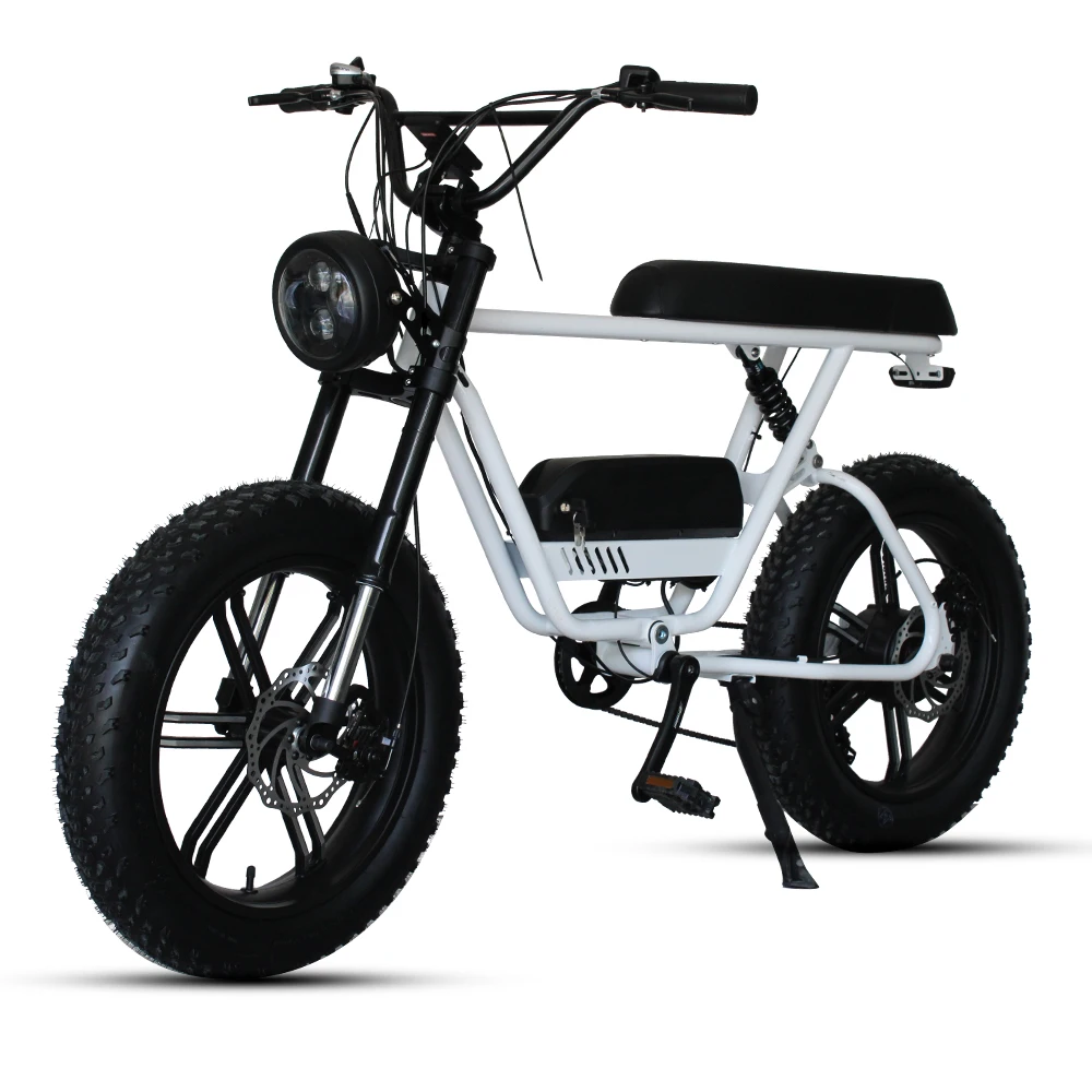 Best Price 1000W E Mountain Bike