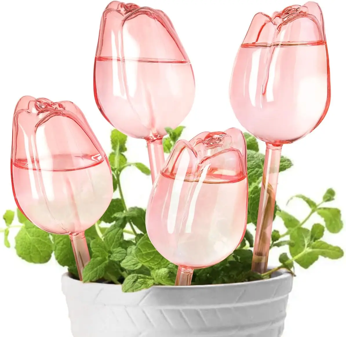 Tulip Shaped Plant Watering Globes, Self Watering Globes Planter Insert Spikes Drip Devices, Hand Blown Clear Glass Water Bulbs