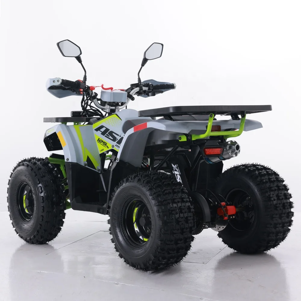 Tao Motor 2024 New ATV 125 Cheap Chinese Automatic Chain Drive Farm ATV 125cc ATV