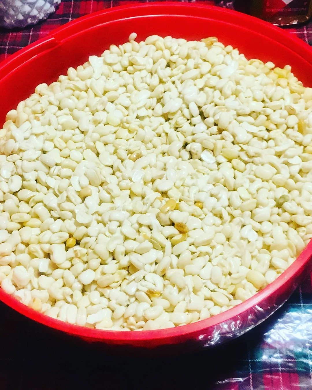 
Whole and Split Broad beans/ Fava beans / Broad Beans 