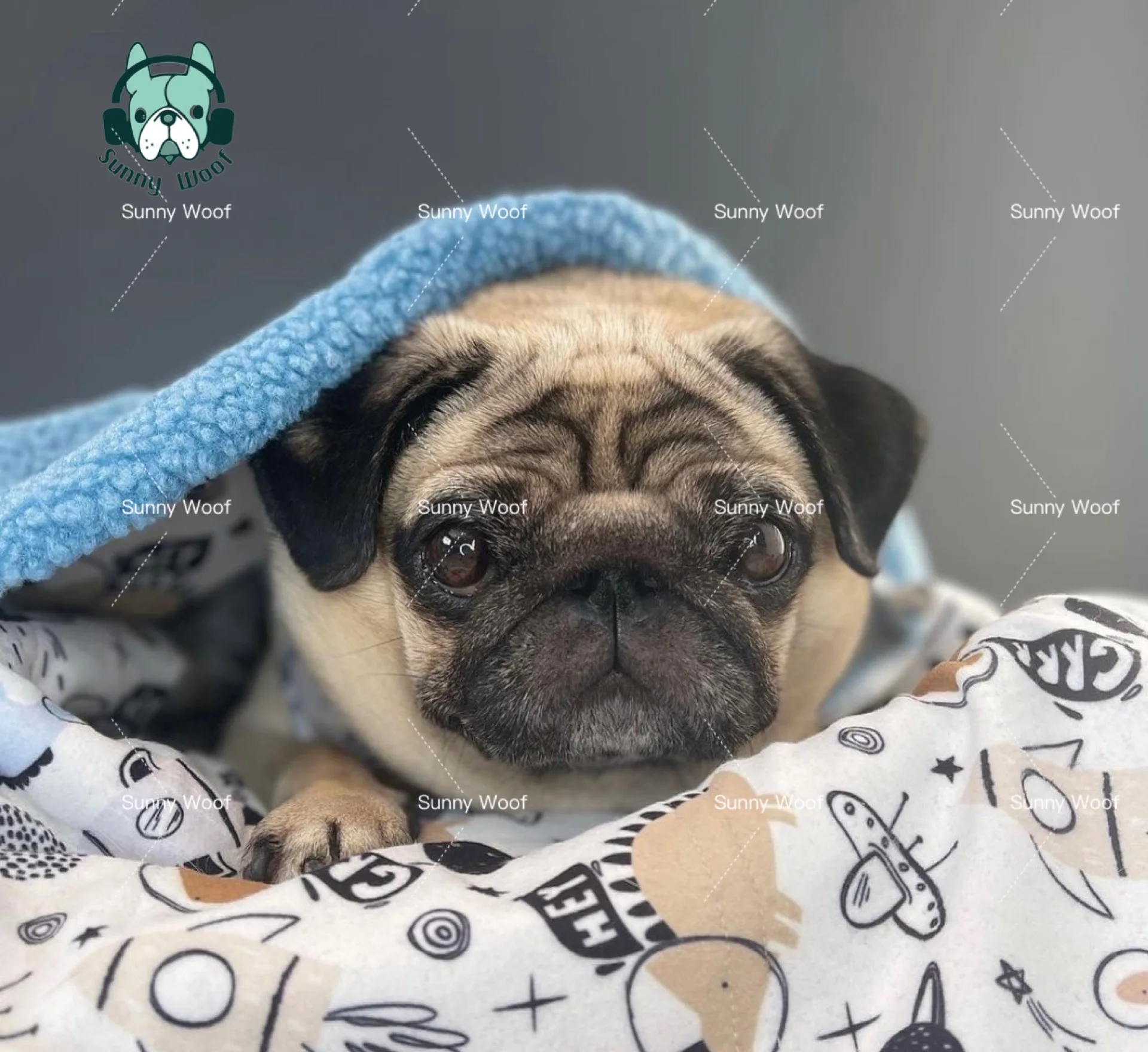 Hot Selling Washable Comfortable Soft Blanket Cat Dogs Pet Bed Accessories printed pattern blanket custom design