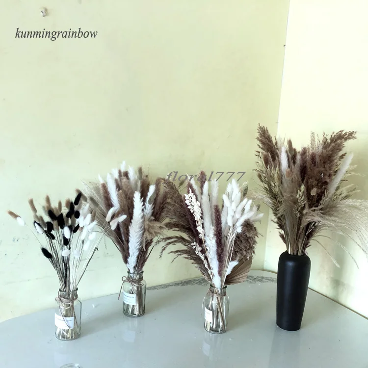 Home Wedding Decorative Bouquet Real Dried Reed Bunny Tail Pampas White Color Dried Natural Small Big Large Pampas Grass
