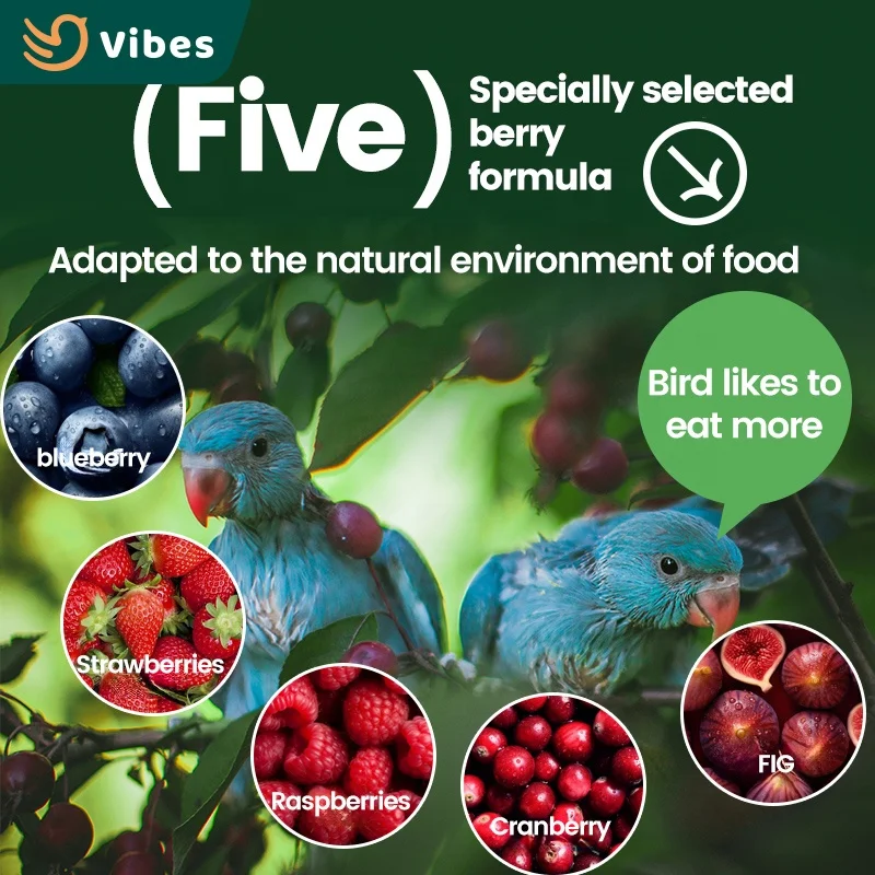 Southeast Asia Special Small Animal Hamster Guinea Pig Food High Protein Muesli Dried Fruit For Hamster